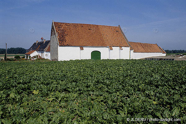 Ferme en Tournaisis